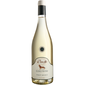 Villa Canlungo Pinot Grigio Friuli Venezia Giulia DOC